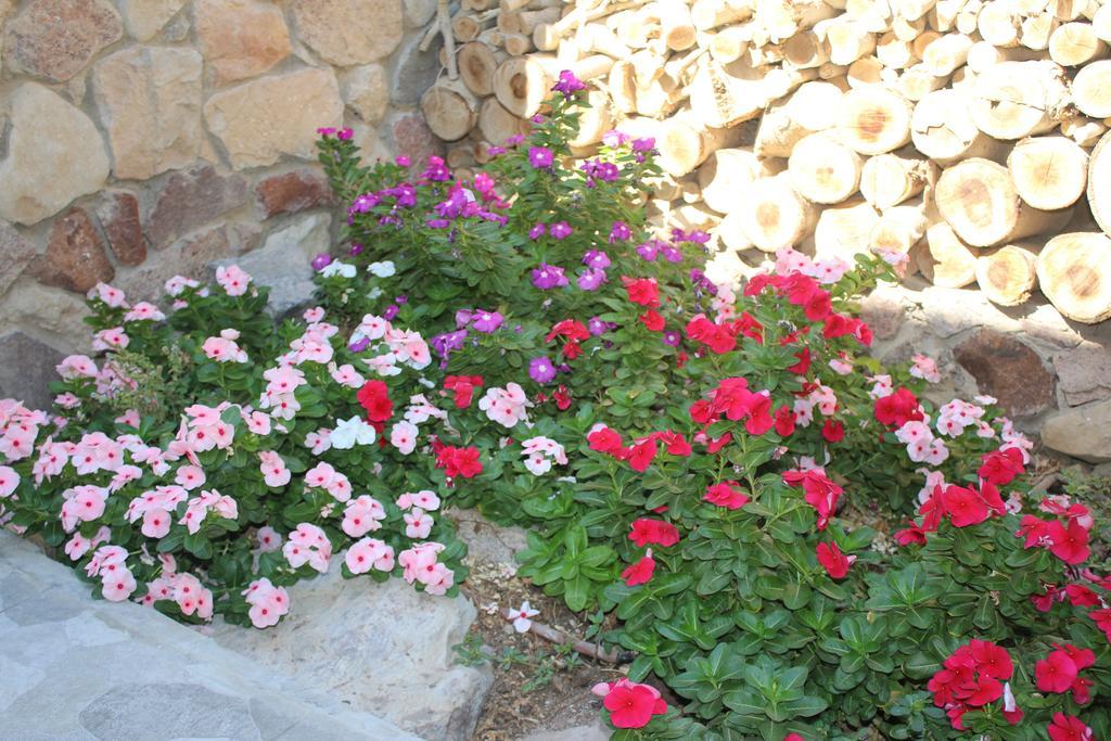 Modern&Quiet Place Eilat Bagian luar foto